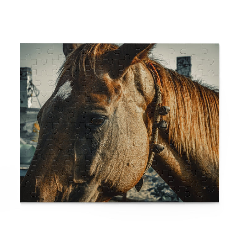 Brown horse, standing near Sea Shore - Jigsaw Puzzle