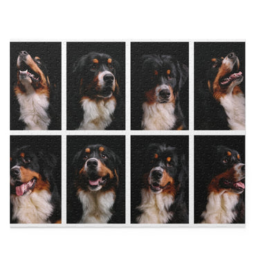 Bernese Mountain Dog Collage - Jigsaw Puzzle
