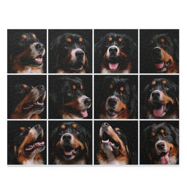 Collage - Bernese Mountain Dog - Jigsaw Puzzle