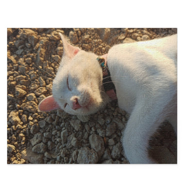 A beautiful sleeping cat in the stone - Jigsaw Puzzle