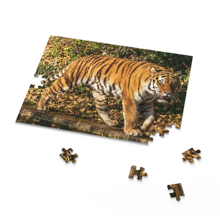 The Siberian tiger -Panthera tigris altaica - Jigsaw Puzzle