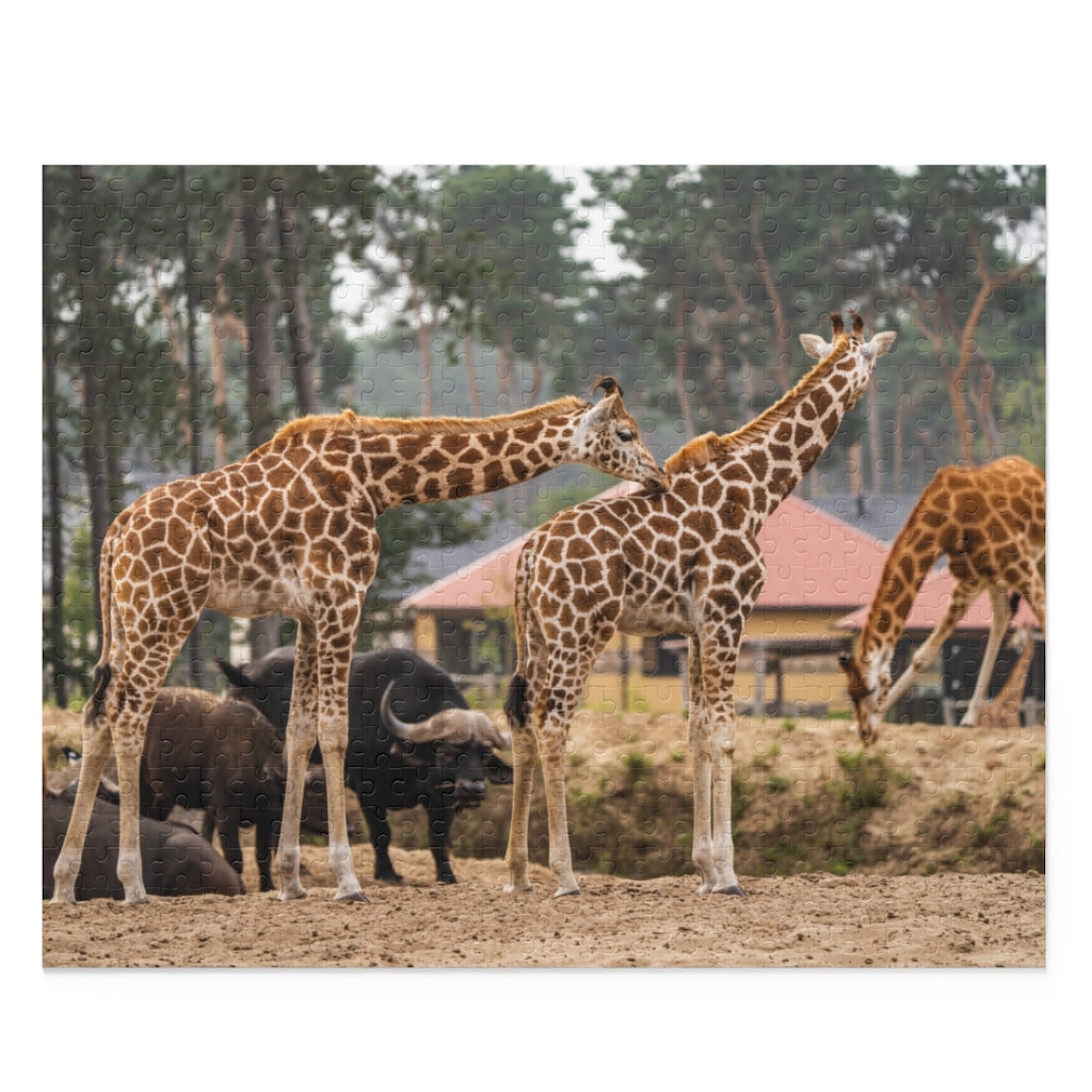 Giraffes in a safari park - Jigsaw Puzzle