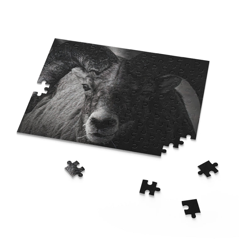 Bighorn sheep - Jigsaw Puzzle