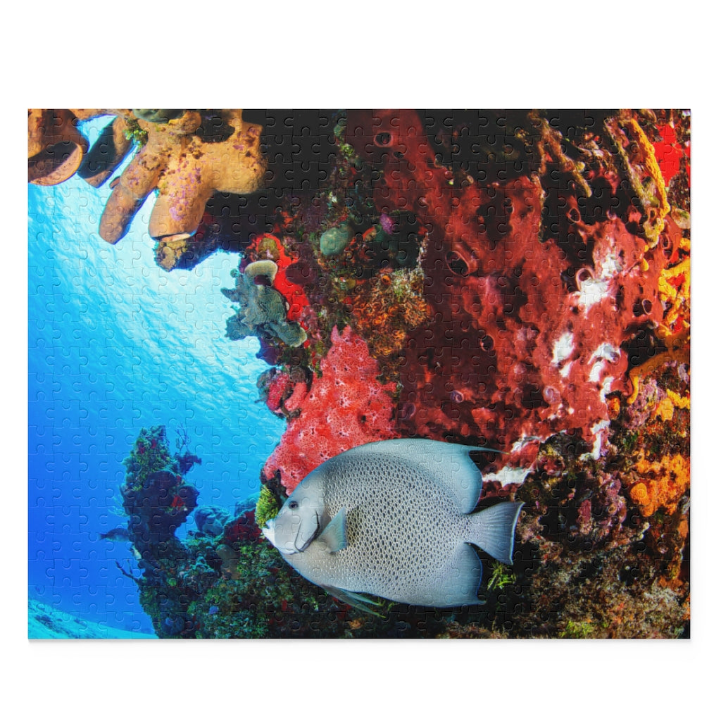 Gray Angel Fish in Cozumel - Jigsaw Puzzle