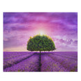 provence - tree in the beautiful lavender field - Jigsaw Puzzle