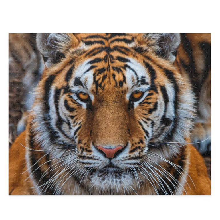 Siberian Tiger Closeup - Jigsaw Puzzle