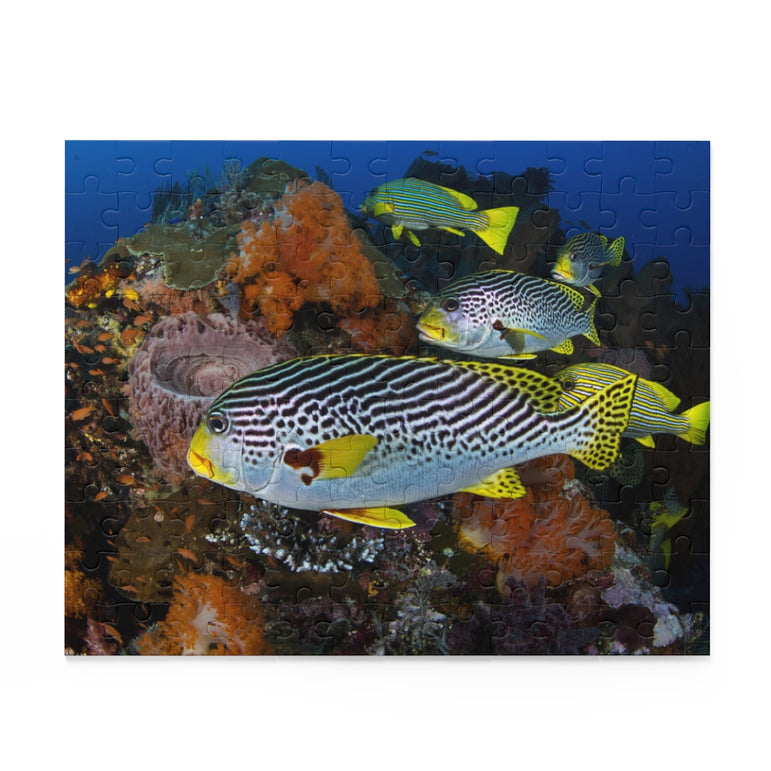 Sweet-lips Snappers - Indonesia - Jigsaw Puzzle