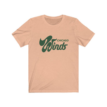 Chicago Winds Football