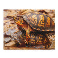 Turtle Stack - Jigsaw Puzzle