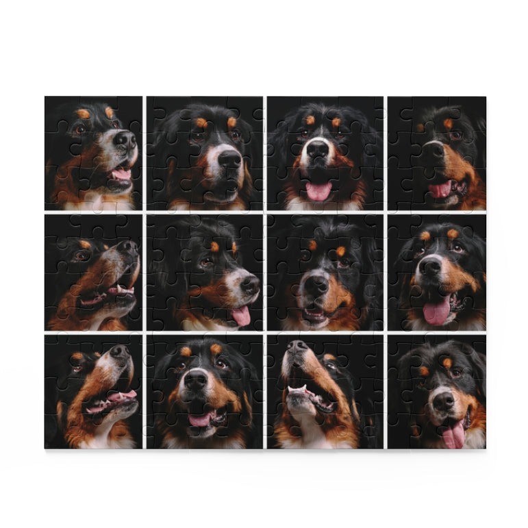 Collage - Bernese Mountain Dog - Jigsaw Puzzle