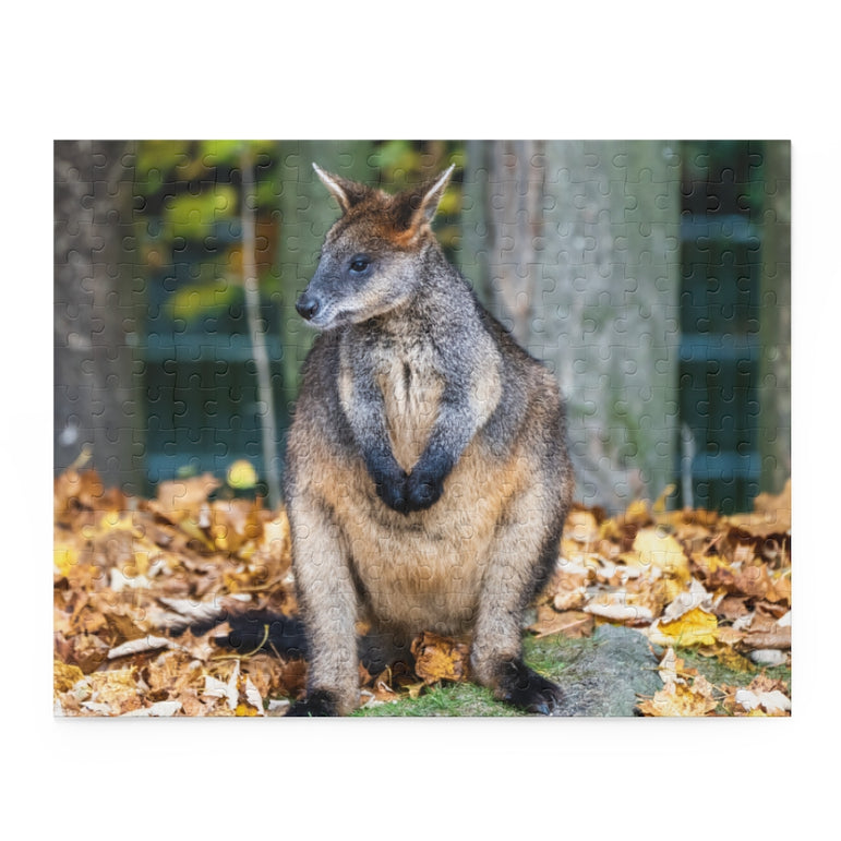 Swamp Wallaby - one of the smaller kangaroos - Jigsaw Puzzle