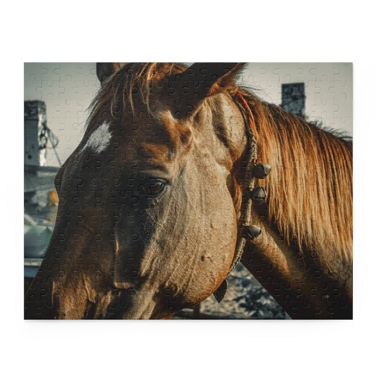 Brown horse, standing near Sea Shore - Jigsaw Puzzle