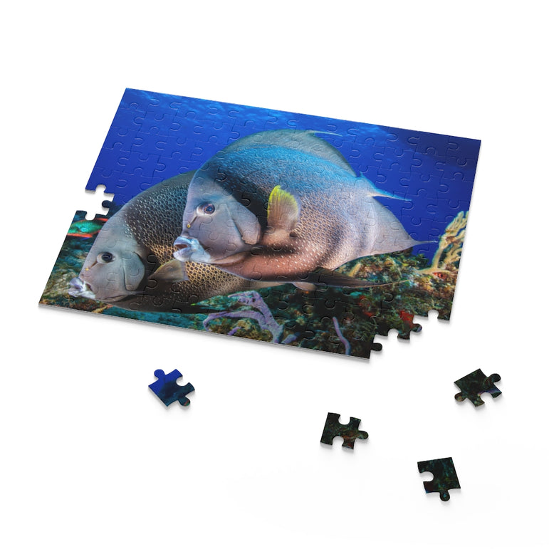 Gray Angel Fish in Cozumel, Mexico - Jigsaw Puzzle