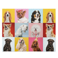 Collage of funny Dogs - Jigsaw Puzzle