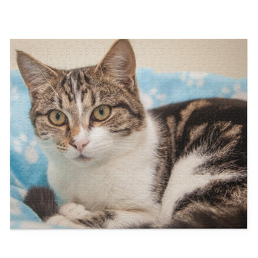 Mischievous, Intelligent Cat - Jigsaw Puzzle