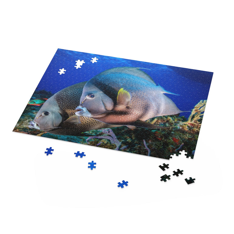 Gray Angel Fish in Cozumel, Mexico - Jigsaw Puzzle