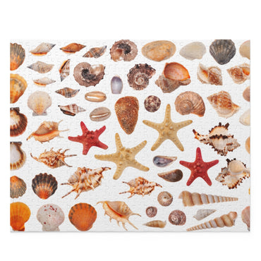 Clipart sea shells - Jigsaw Puzzle