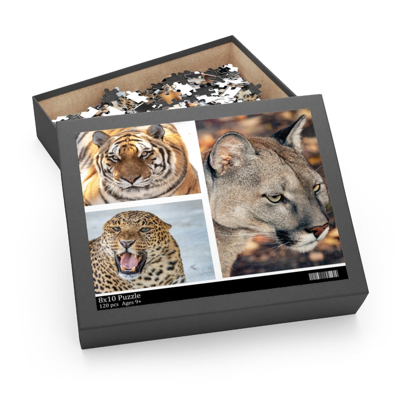 Tiger, jaguar and cougar in a collage - Jigsaw Puzzle