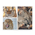 Tiger, jaguar and cougar in a collage - Jigsaw Puzzle