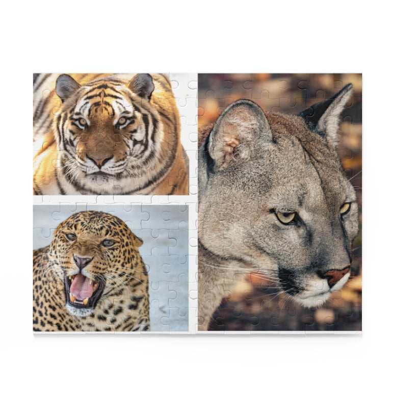 Tiger, jaguar and cougar in a collage - Jigsaw Puzzle