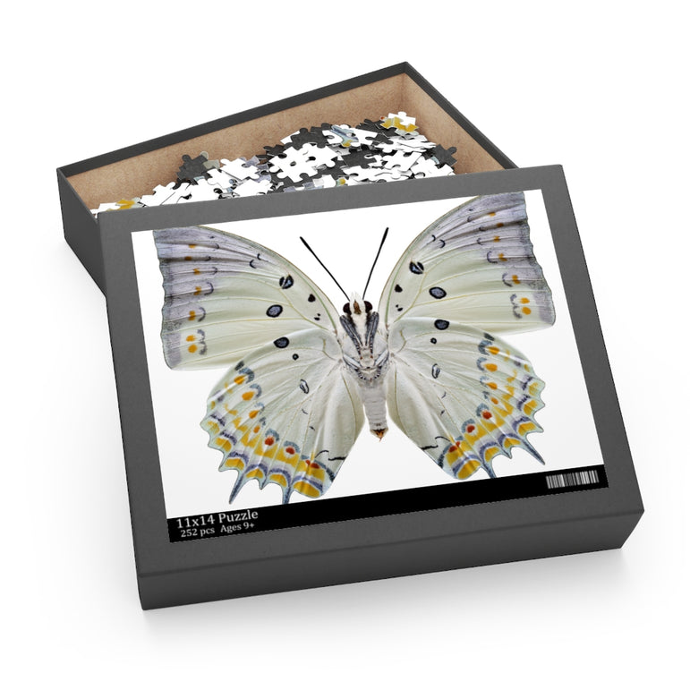 Jewelled Nawab - beautiful butterfly - Jigsaw Puzzle