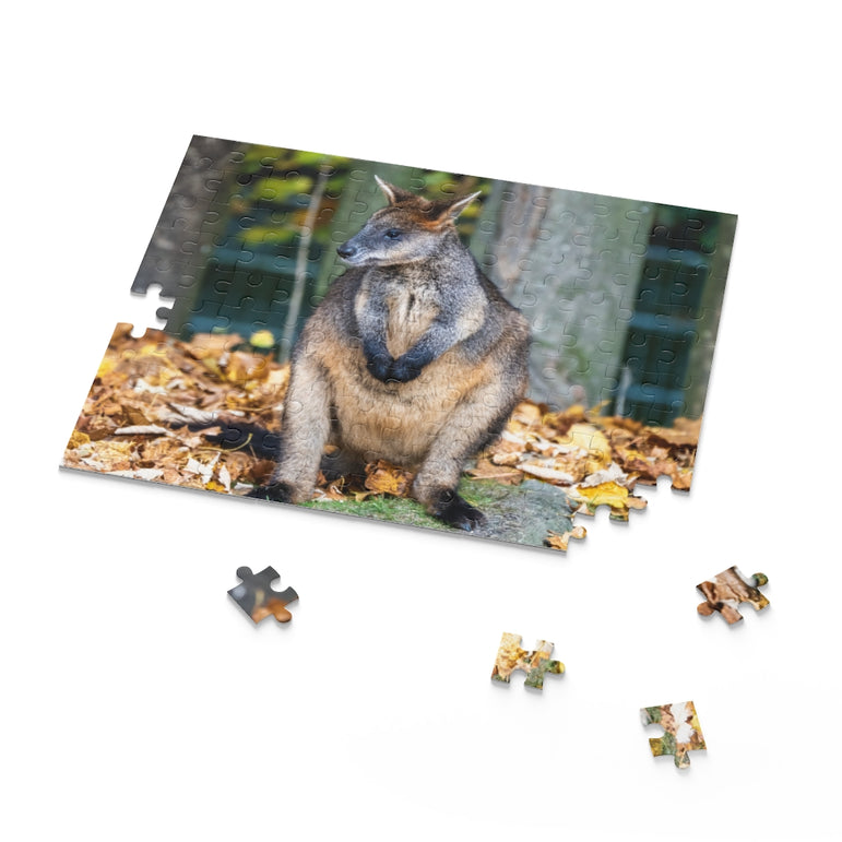 Swamp Wallaby - one of the smaller kangaroos - Jigsaw Puzzle