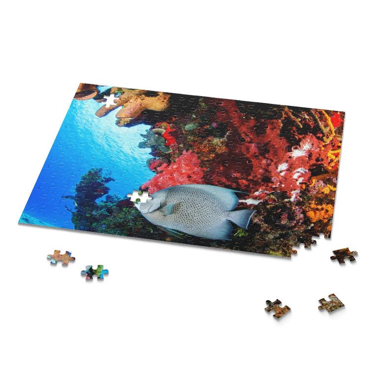 Gray Angel Fish in Cozumel - Jigsaw Puzzle