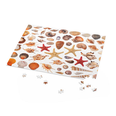 Clipart sea shells - Jigsaw Puzzle