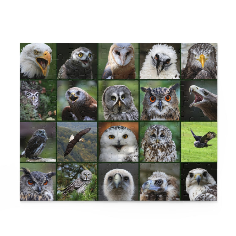 Birds of prey - Collage - Jigsaw Puzzle