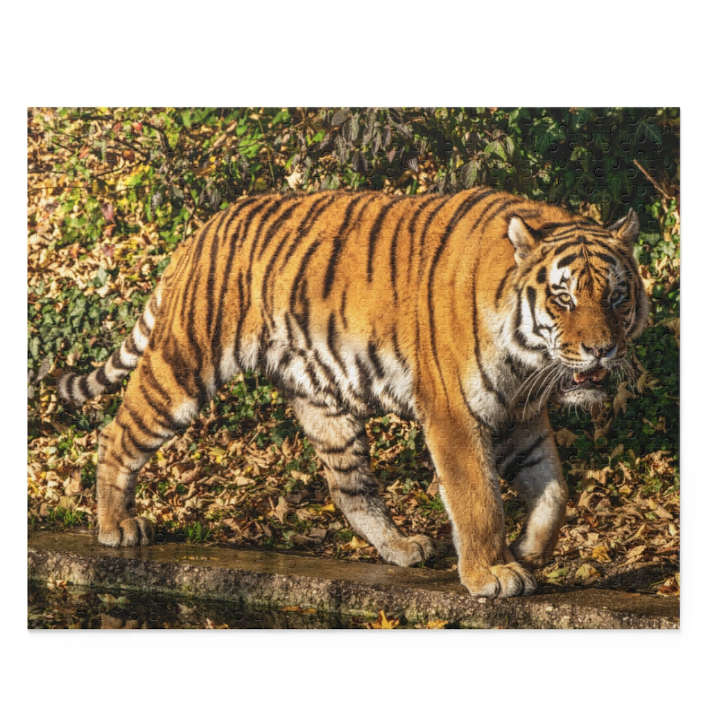 The Siberian tiger -Panthera tigris altaica - Jigsaw Puzzle