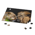 Lion Couple Intimate Love - Jigsaw Puzzle