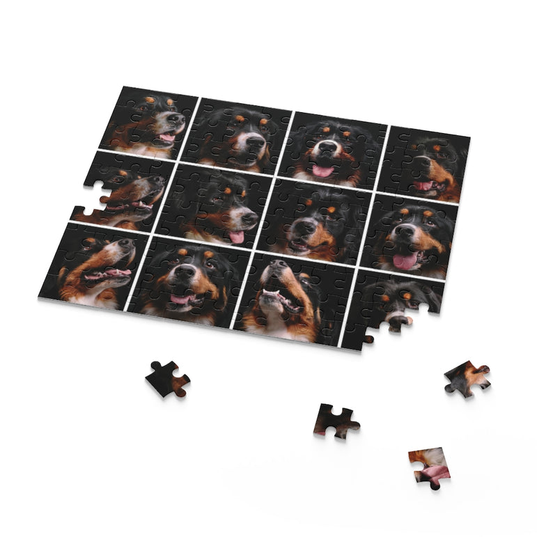 Collage - Bernese Mountain Dog - Jigsaw Puzzle