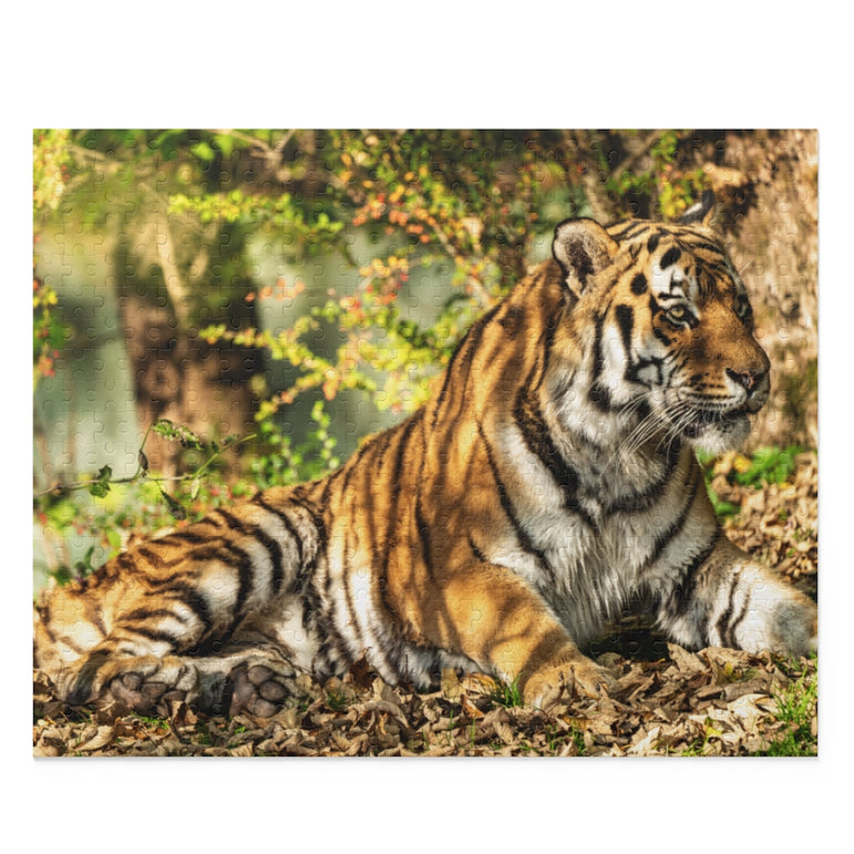 Siberian tiger - Jigsaw Puzzle