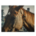 Brown horse, standing near Sea Shore - Jigsaw Puzzle