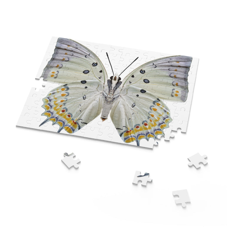 Jewelled Nawab - beautiful butterfly - Jigsaw Puzzle