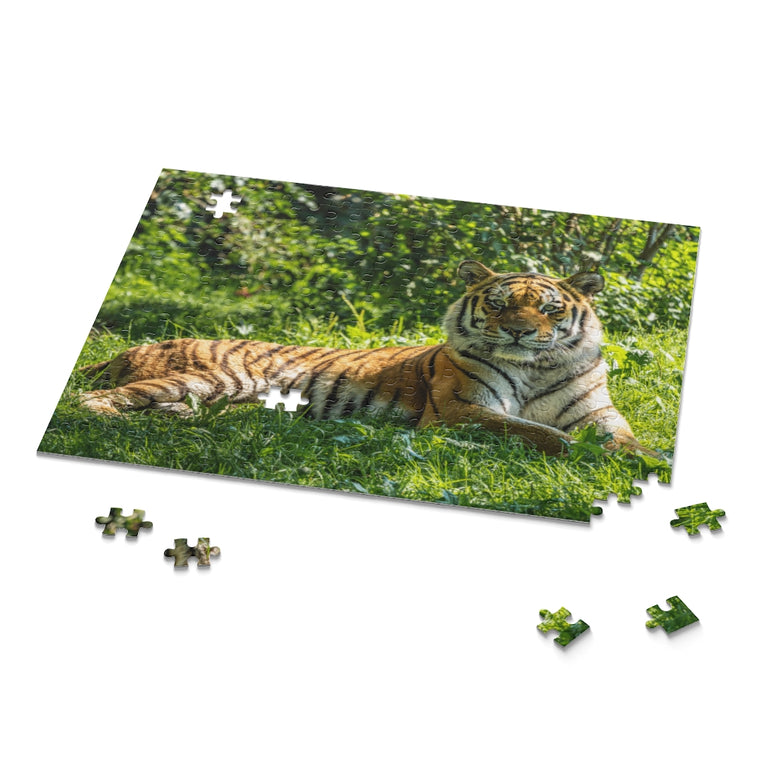 Siberian Tiger - Biggest cat in the world - Jigsaw Puzzle