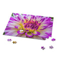Blue Purple White Dinnerplate - Dahlia Blooming Macro - Jigsaw Puzzle