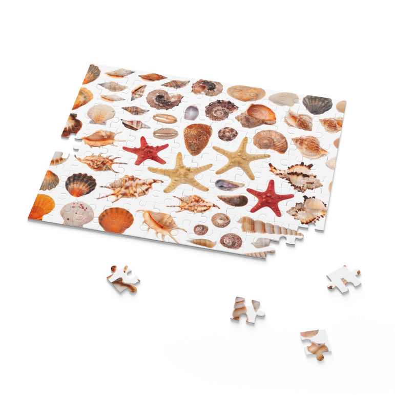 Clipart sea shells - Jigsaw Puzzle