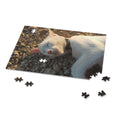 A beautiful sleeping cat in the stone - Jigsaw Puzzle