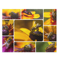 Western Honey Bee Collage - Jigsaw Puzzle