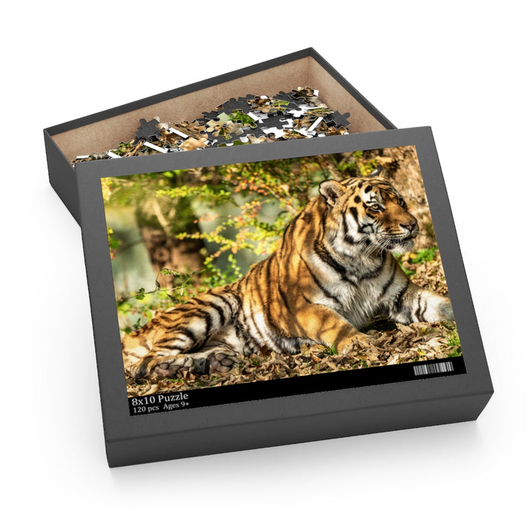 Siberian tiger - Jigsaw Puzzle