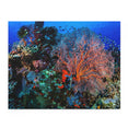 Colorful Corals in Togean Islands, Indonesia - Jigsaw Puzzle