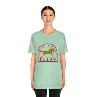 Birmingham Stallions- Unisex