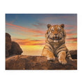 Bengal Tiger - Jigsaw Puzzle