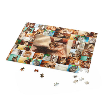 Cats - Collage - Center is Sphynx cat - Jigsaw Puzzle