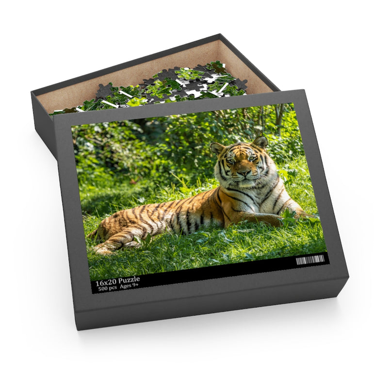 Siberian Tiger - Biggest cat in the world - Jigsaw Puzzle