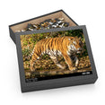 The Siberian tiger -Panthera tigris altaica - Jigsaw Puzzle