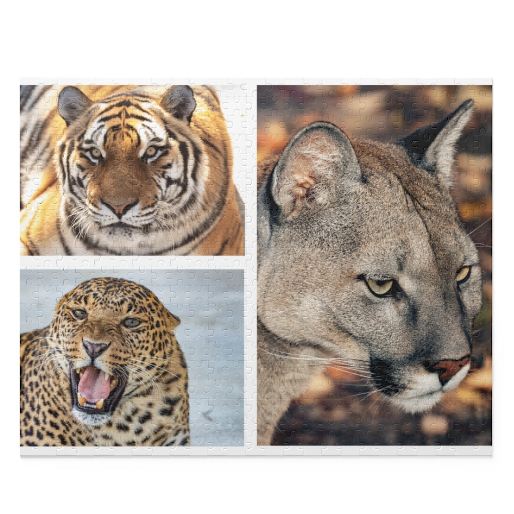 Tiger, jaguar and cougar in a collage - Jigsaw Puzzle