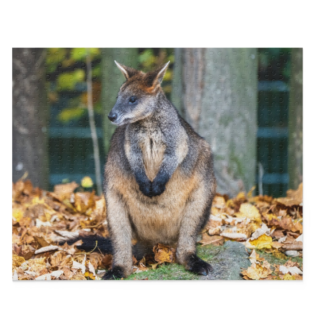 Swamp Wallaby - one of the smaller kangaroos - Jigsaw Puzzle