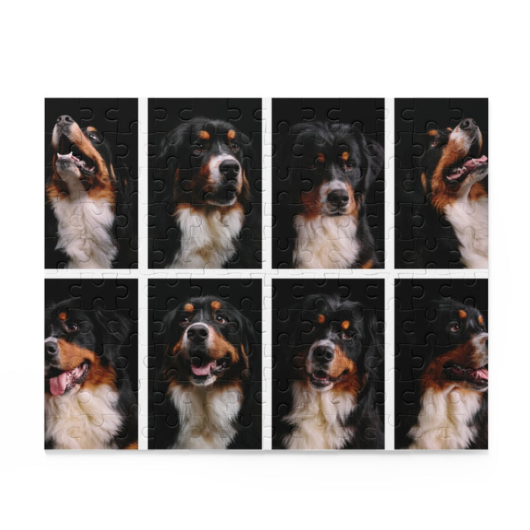 Bernese Mountain Dog Collage - Jigsaw Puzzle